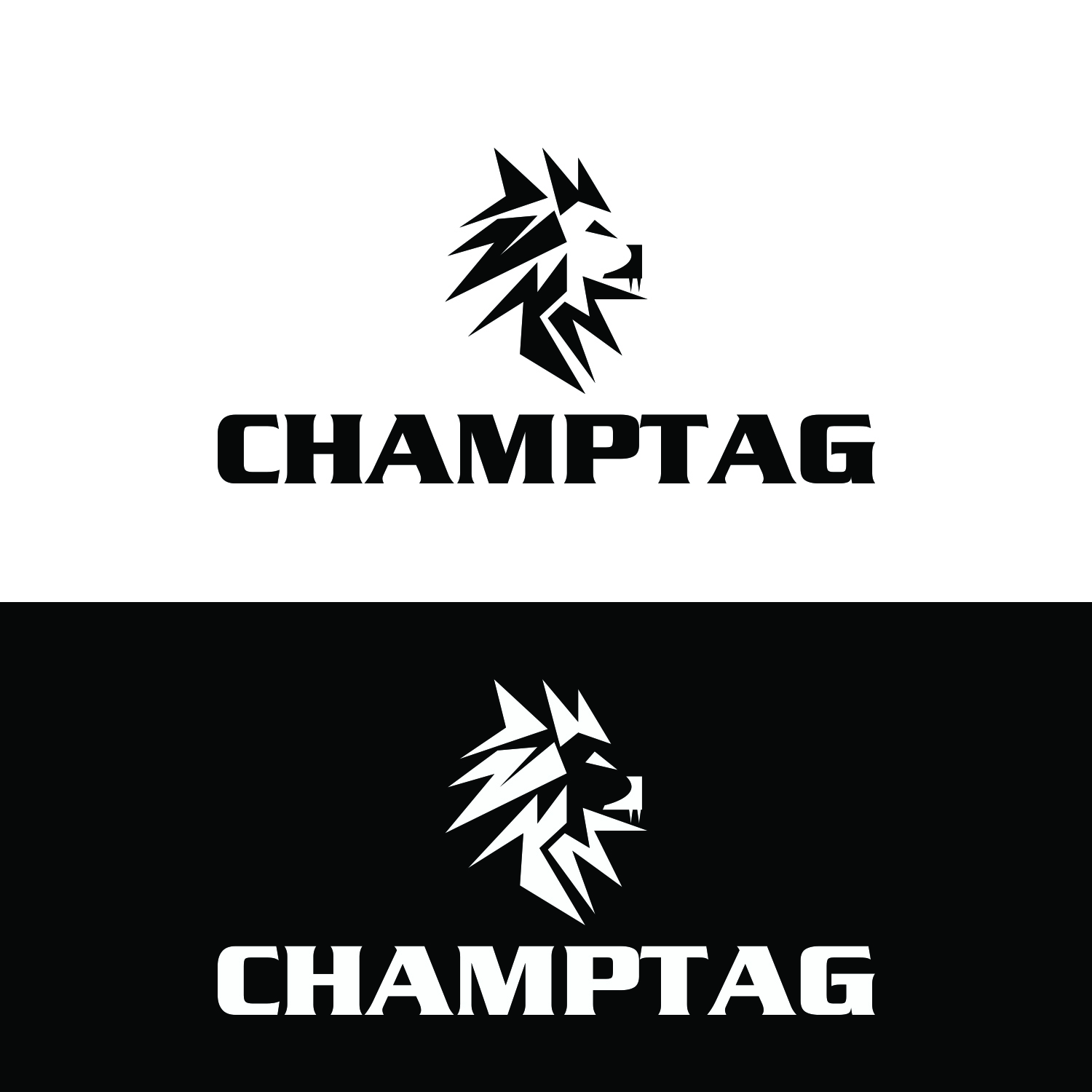 Diseño de Logo por dr ghulam mustafa sahab para ChampTag | Diseño #17683549