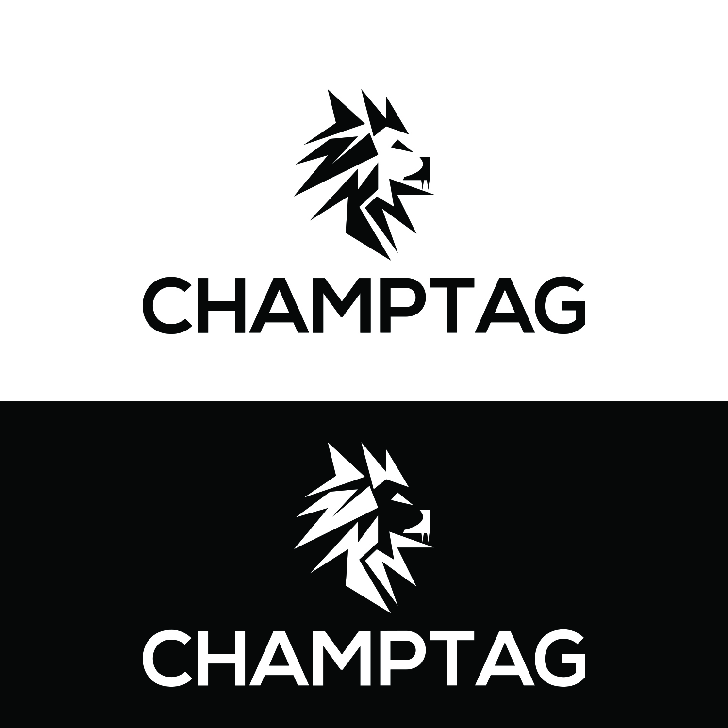 Diseño de Logo por dr ghulam mustafa sahab para ChampTag | Diseño #17683556