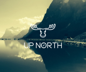 Diseño de Logo por luiz otavio I DESIGN para Norstrøm Innovation AS | Diseño: #18373411
