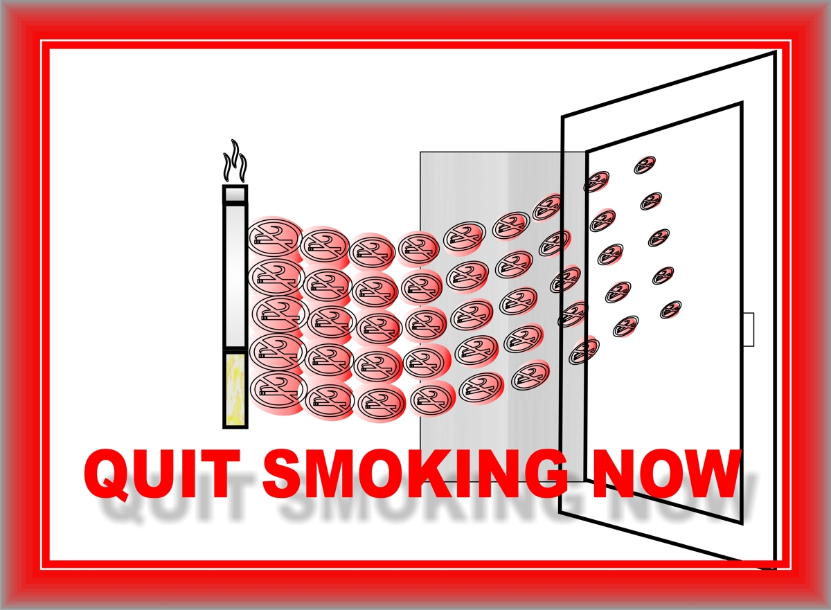 Logo Design by simoilie67 for Seolution Marketing Ltd | Design #2754340