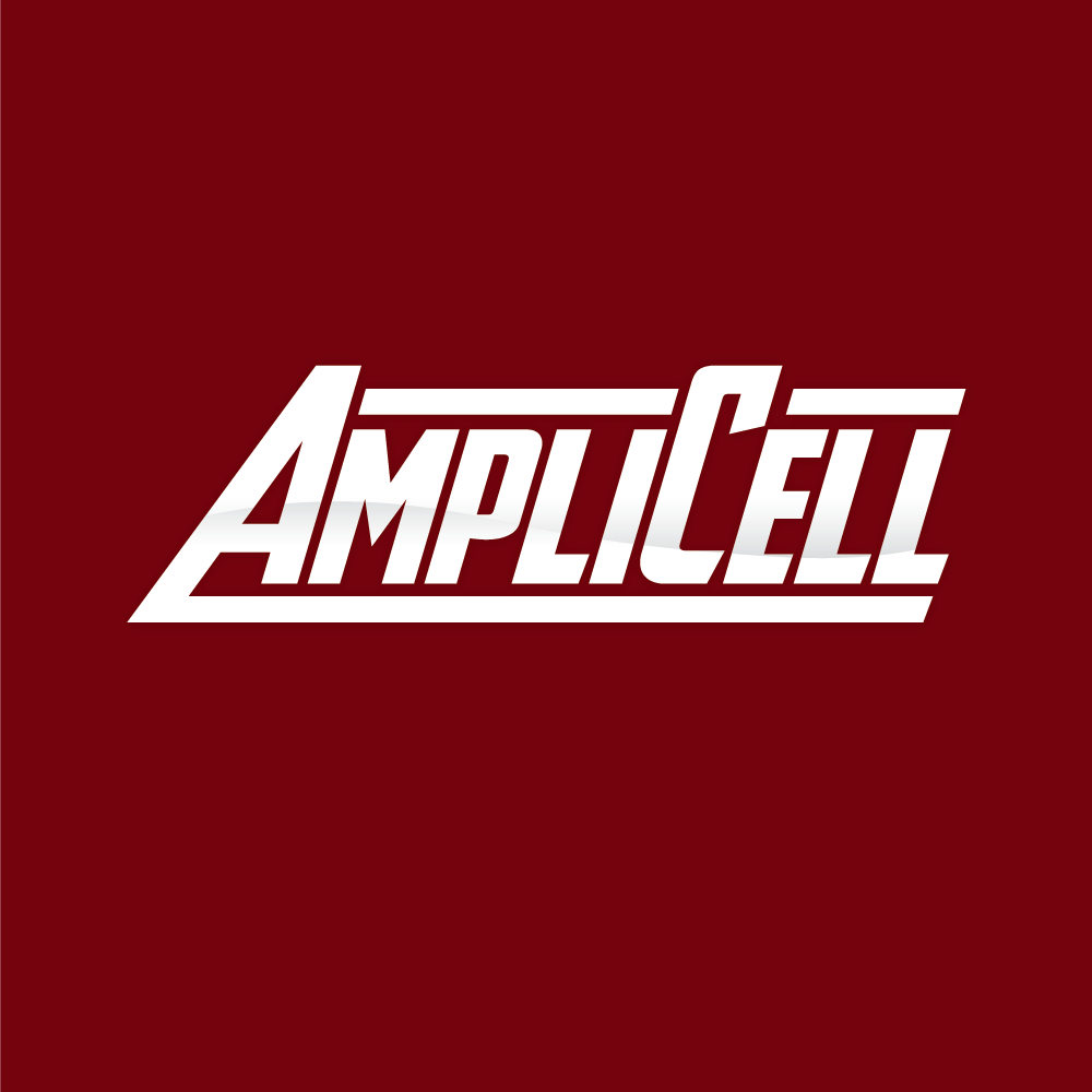 Logo Design by Leograph Design and Print for Performance Mods | Design #17625275