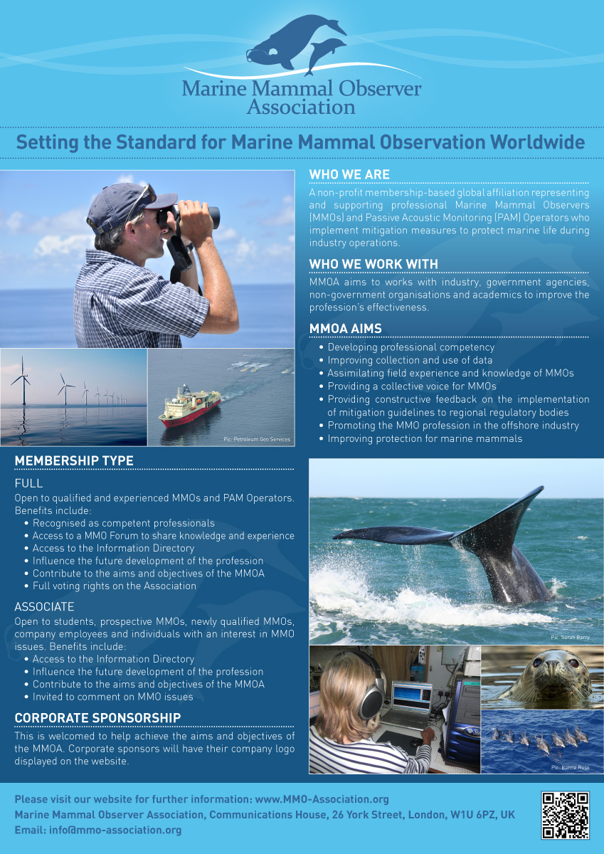 Poster Design by Vectostyler for this project | Design #641497