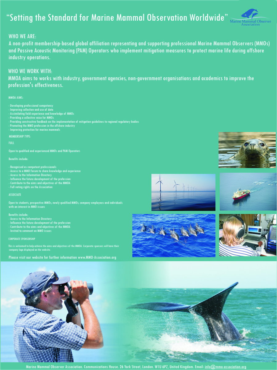 Poster Design by Acuarela for this project | Design #645803