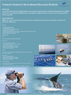 Poster Design by Acuarela for this project | Design: #645803