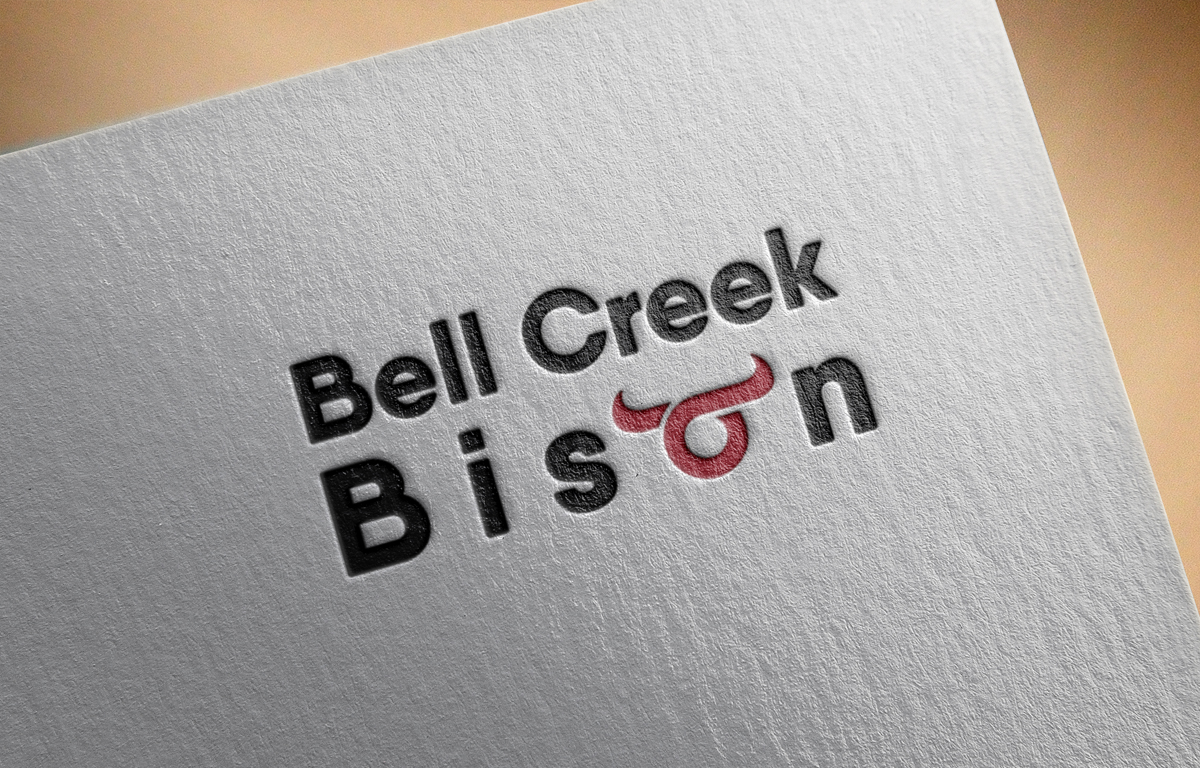 Logo-Design von Lioness Designs für dieses Projekt | Design #17652446