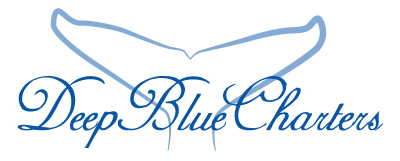 Logo Design by Corinnedv for this project | Design #17638150