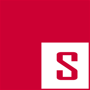 Logo Design by Praveen