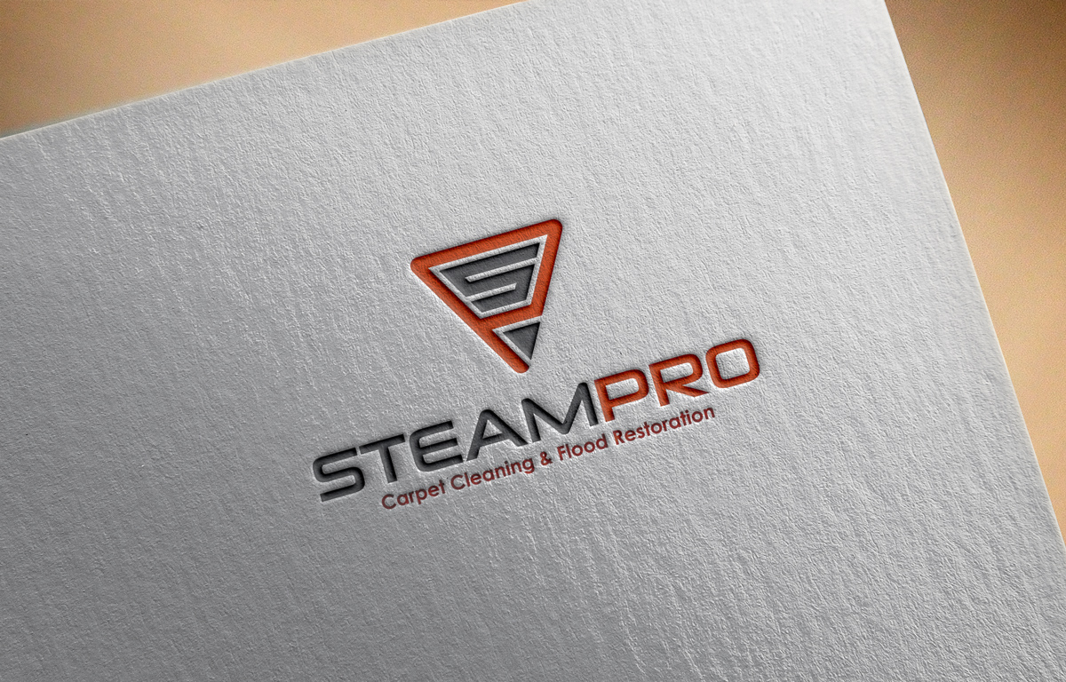 Logo Design by Logoplain for this project | Design: #17674667