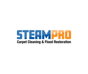 Logo Design by Boon