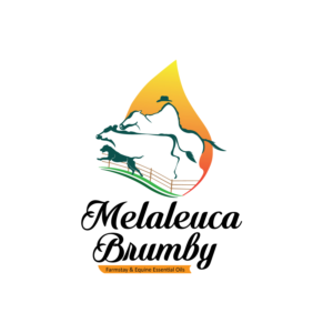 Logo Design by uk for Melaleuca Brumby | Design: #17726514