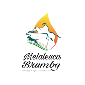 Logo Design by uk for Melaleuca Brumby | Design: #17726515