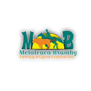 Logo Design by Endre Gajdor