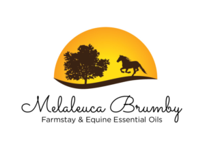 Logo Design by bc21 for Melaleuca Brumby | Design: #17643434