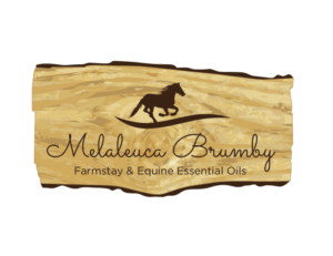 Logo Design by bc21 for Melaleuca Brumby | Design: #17644056