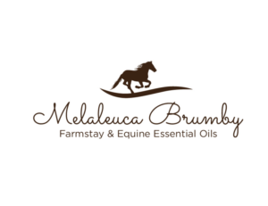 Logo Design by bc21 for Melaleuca Brumby | Design: #17644057