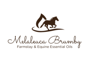 Logo Design by bc21 for Melaleuca Brumby | Design: #17644058