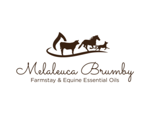 Logo Design by bc21 for Melaleuca Brumby | Design: #17670569