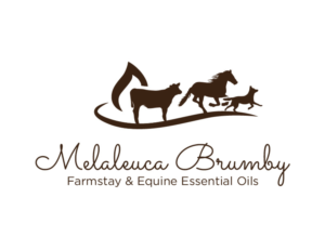 Logo Design by bc21 for Melaleuca Brumby | Design: #17670570