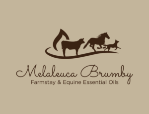 Logo Design by bc21 for Melaleuca Brumby | Design: #17670571