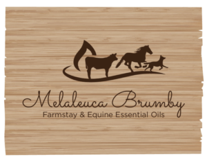 Logo Design by bc21 for Melaleuca Brumby | Design: #17670572