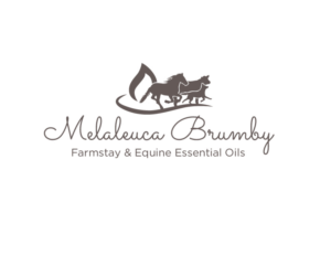 Logo Design by bc21 for Melaleuca Brumby | Design: #17739532