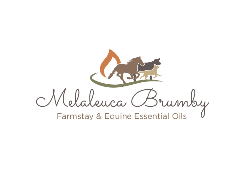 Logo Design by bc21 for Melaleuca Brumby | Design #17739533