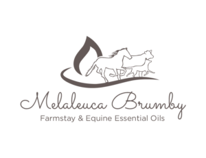Logo Design by bc21 for Melaleuca Brumby | Design: #17739536