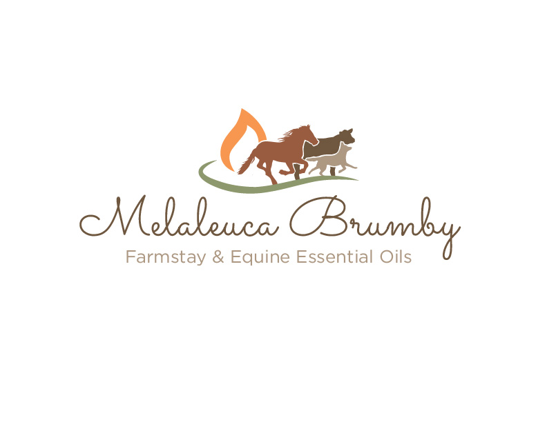 Logo Design by bc21 for Melaleuca Brumby | Design #17740366
