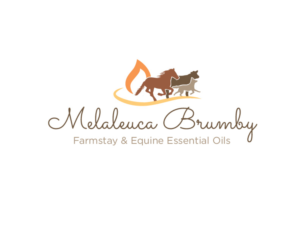 Logo Design by bc21 for Melaleuca Brumby | Design: #17740368