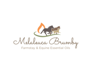 Logo Design by bc21 for Melaleuca Brumby | Design: #17740373