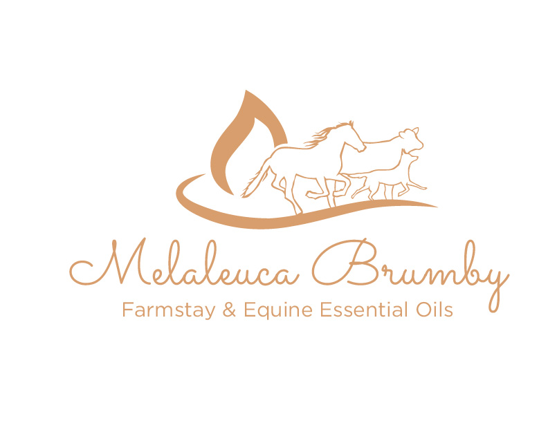 Logo Design by bc21 for Melaleuca Brumby | Design #17740383