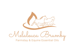 Logo Design by bc21 for Melaleuca Brumby | Design: #17740383