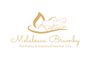 Logo Design by bc21 for Melaleuca Brumby | Design: #17740385