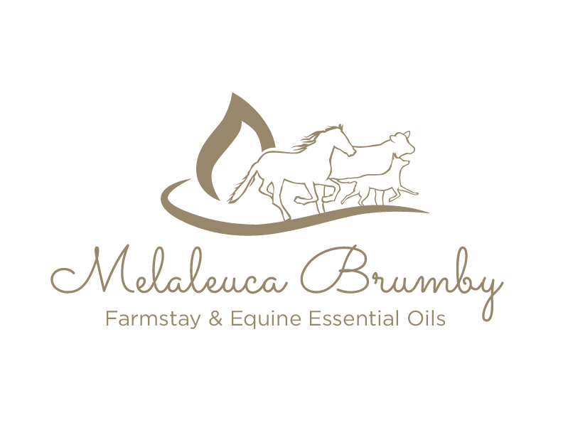 Logo Design by bc21 for Melaleuca Brumby | Design #17740387