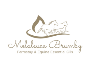 Logo Design by bc21 for Melaleuca Brumby | Design: #17740387