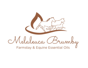 Logo Design by bc21 for Melaleuca Brumby | Design: #17740388