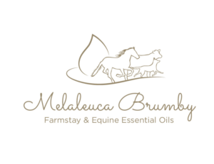 Logo Design by bc21 for Melaleuca Brumby | Design: #17740389