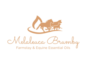 Logo Design by bc21 for Melaleuca Brumby | Design: #17740397