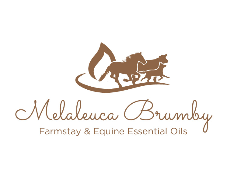 Diseño de Logo por bc21 para Melaleuca Brumby | Diseño #17740398