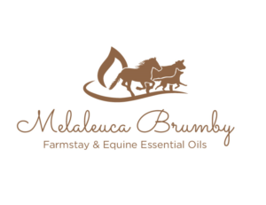 Logo Design by bc21 for Melaleuca Brumby | Design: #17740398