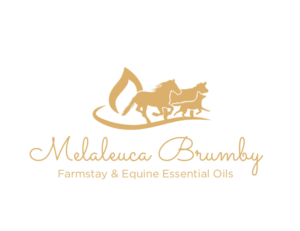 Logo Design by bc21 for Melaleuca Brumby | Design: #17740399