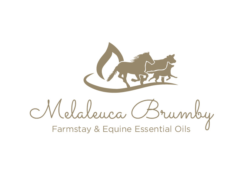 Logo Design by bc21 for Melaleuca Brumby | Design #17740400