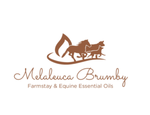 Logo Design by bc21 for Melaleuca Brumby | Design: #17740401