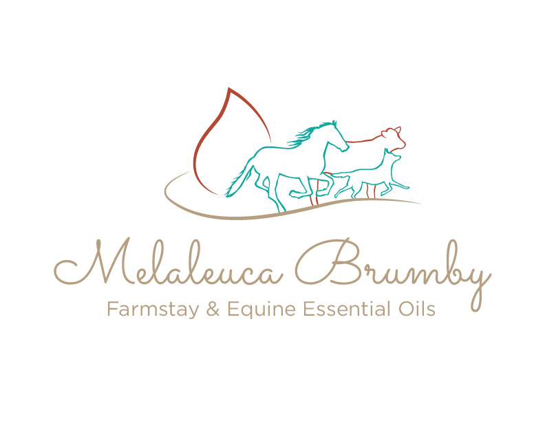 Logo Design by bc21 for Melaleuca Brumby | Design #17757092