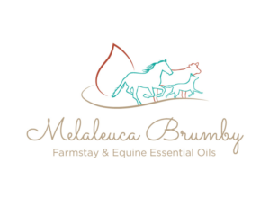 Logo Design by bc21 for Melaleuca Brumby | Design: #17757092