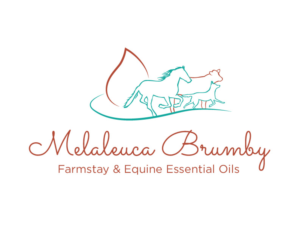 Logo Design by bc21 for Melaleuca Brumby | Design: #17757093