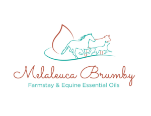 Logo Design by bc21 for Melaleuca Brumby | Design: #17757094