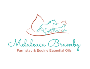 Logo Design by bc21 for Melaleuca Brumby | Design: #17757095