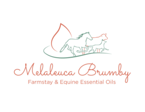 Logo Design by bc21 for Melaleuca Brumby | Design: #17757104