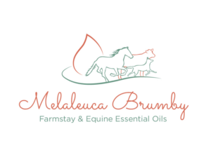 Logo Design by bc21 for Melaleuca Brumby | Design: #17757105